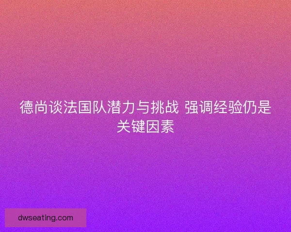 德尚谈法国队潜力与挑战 强调经验仍是关键因素